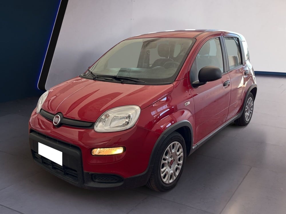 Fiat Panda usata a Torino (2)