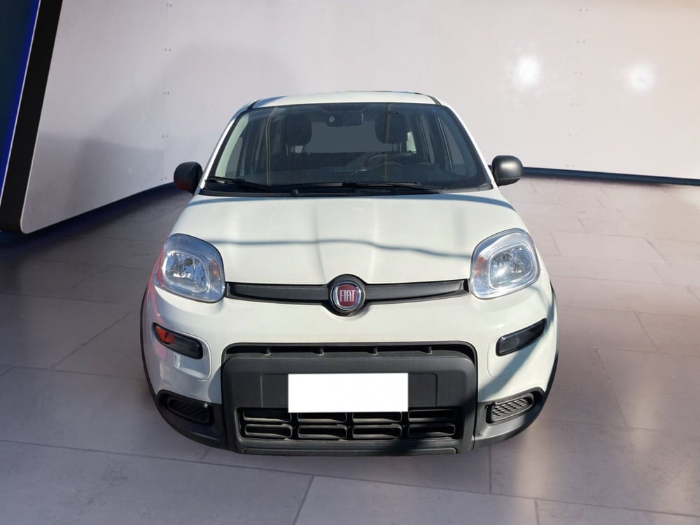 Fiat Panda usata a Torino