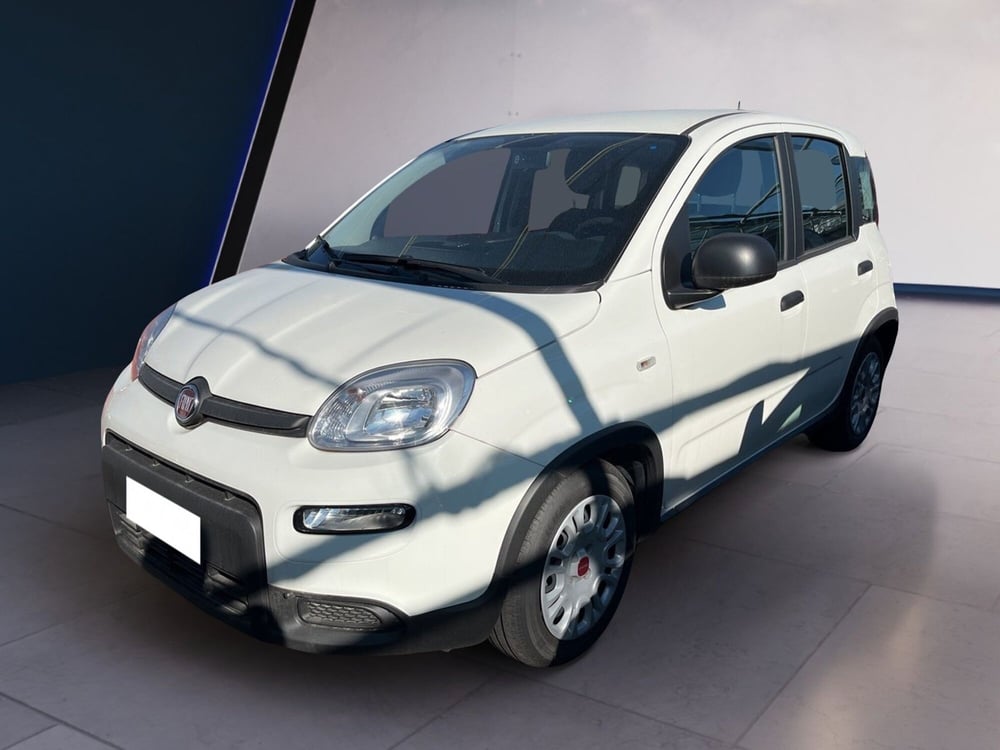 Fiat Panda usata a Torino (2)