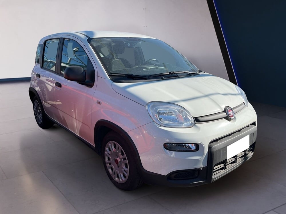 Fiat Panda usata a Torino (3)
