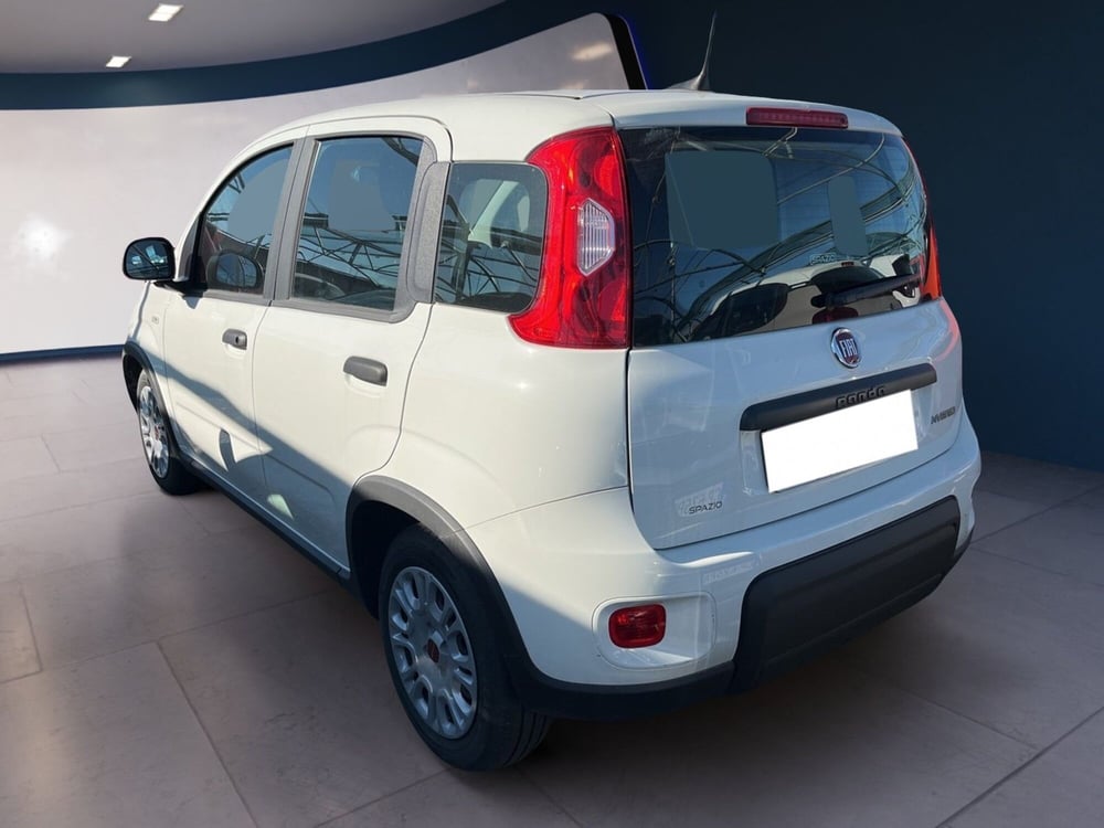 Fiat Panda usata a Torino (4)