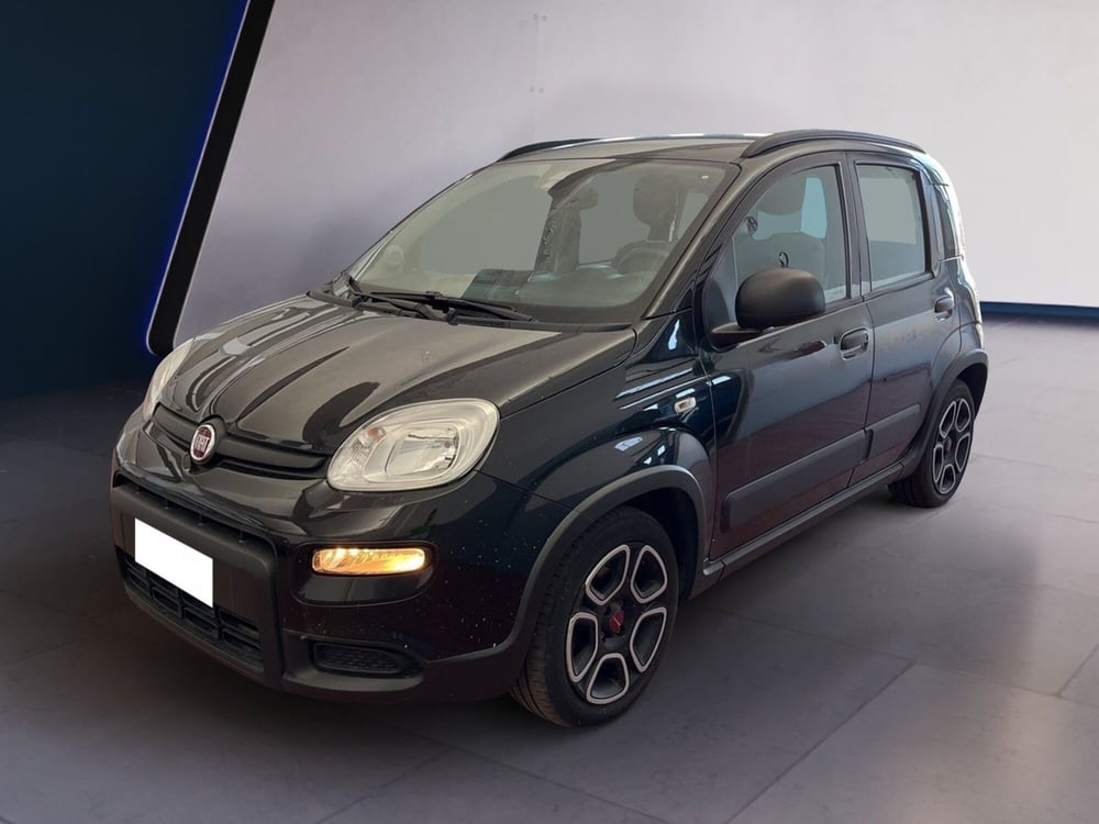 Fiat Panda usata a Torino (2)