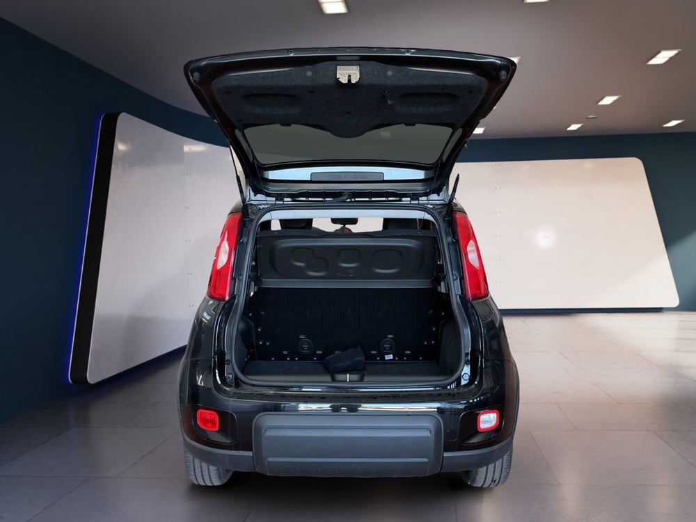 Fiat Panda usata a Torino (7)