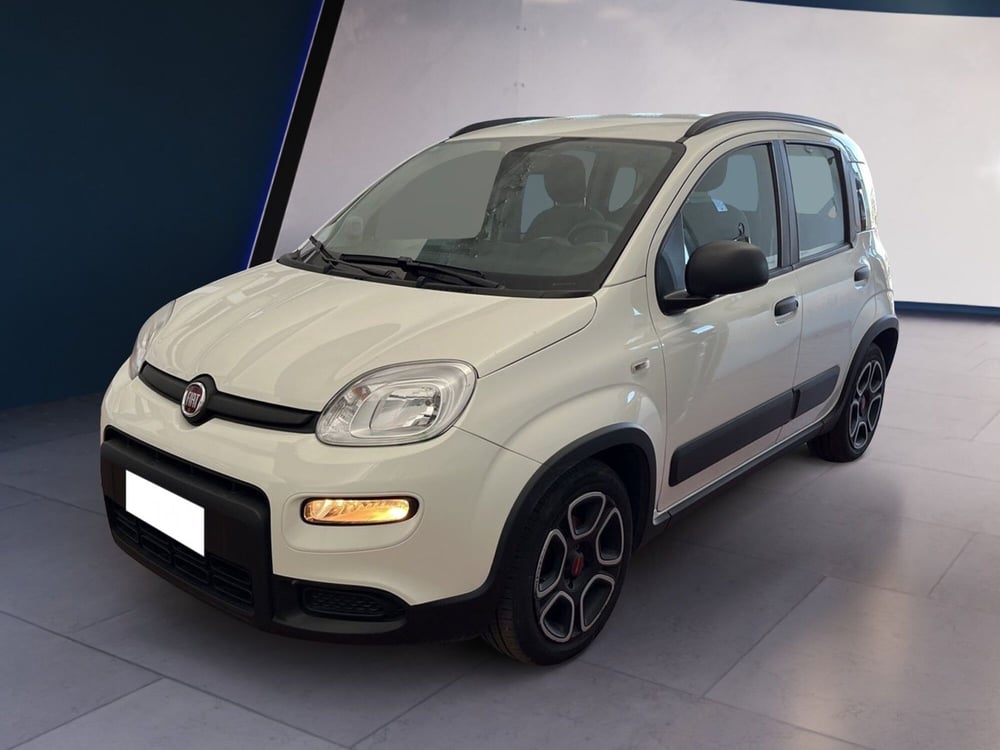 Fiat Panda usata a Torino (2)