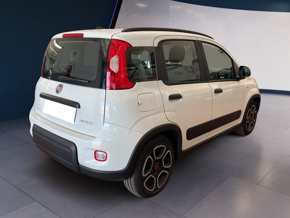 Fiat Panda usata a Torino (4)