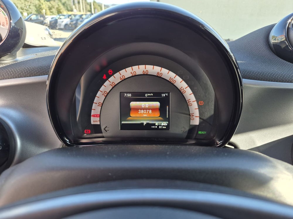 smart Fortwo usata  (12)