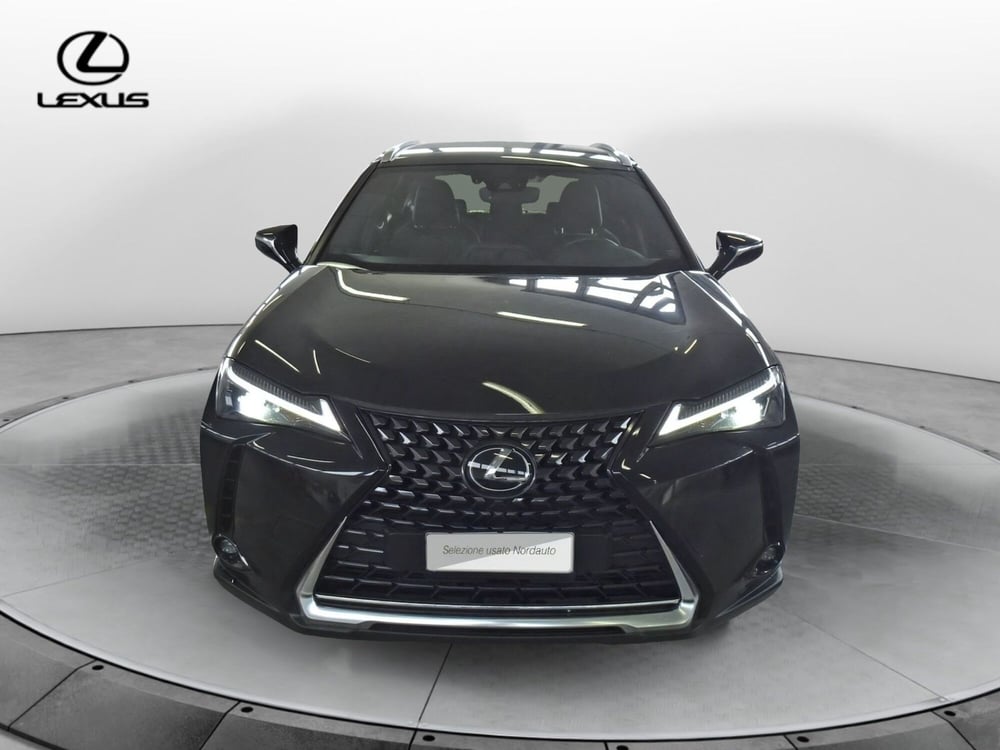 Lexus UX usata a Treviso (2)