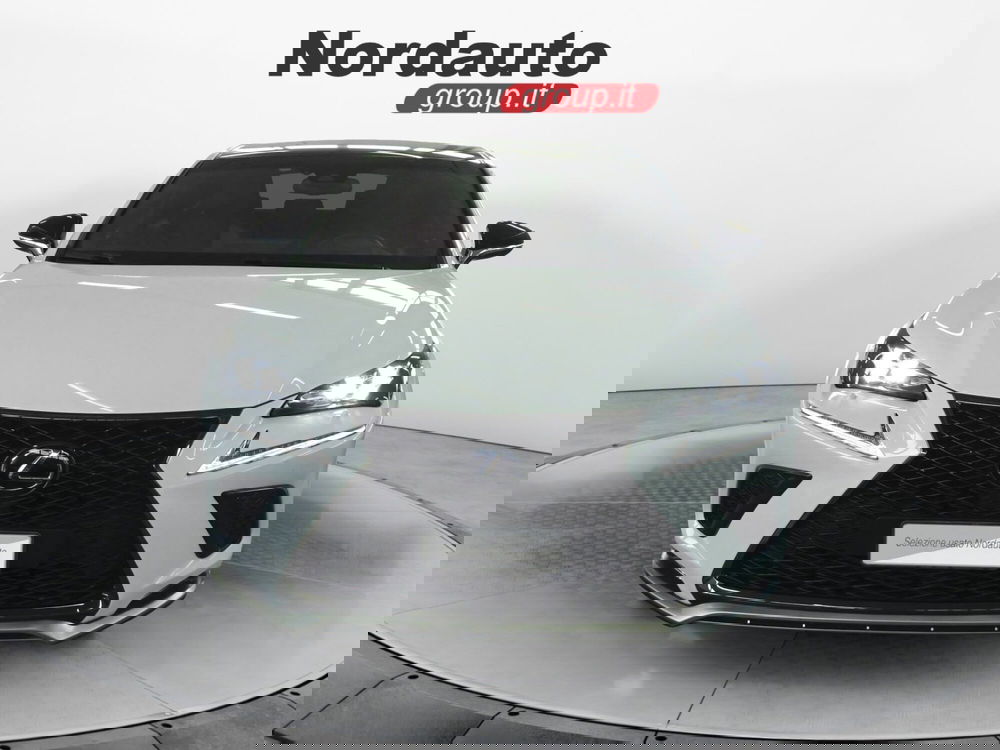 Lexus NX usata a Treviso (2)