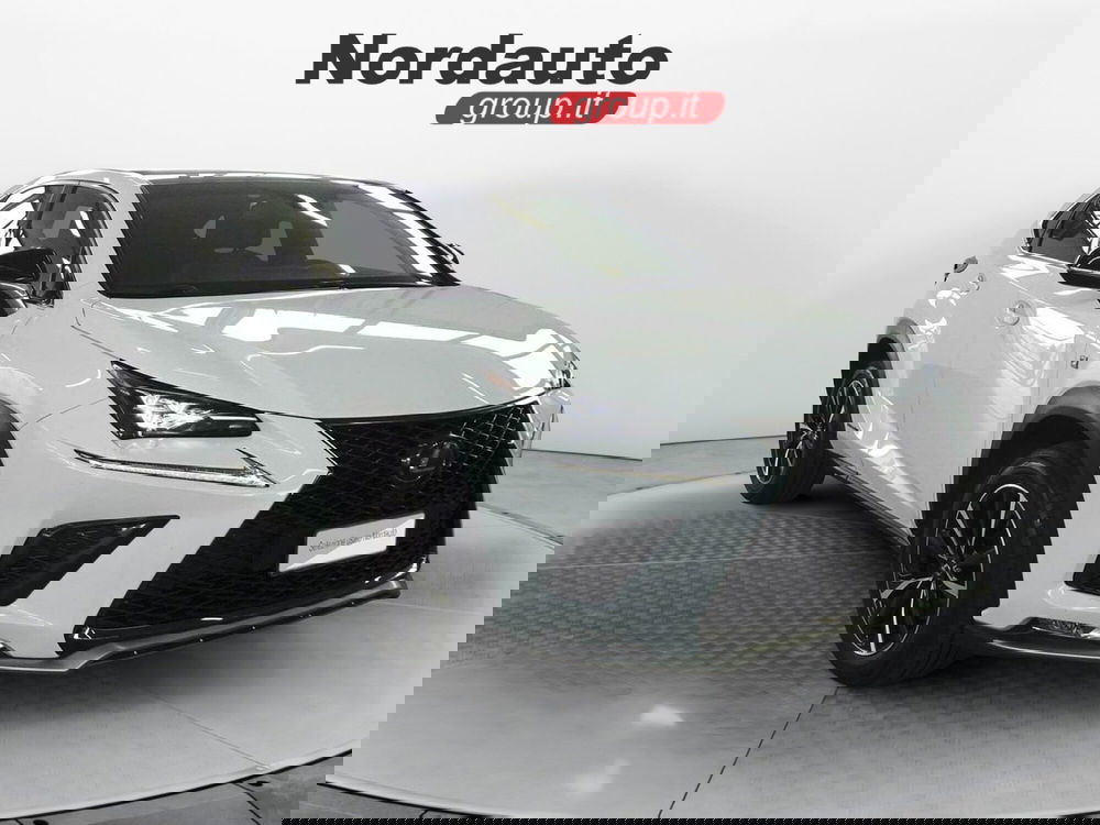 Lexus NX usata a Treviso (3)