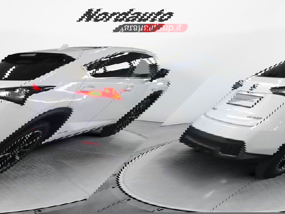 Lexus NX usata a Treviso (5)