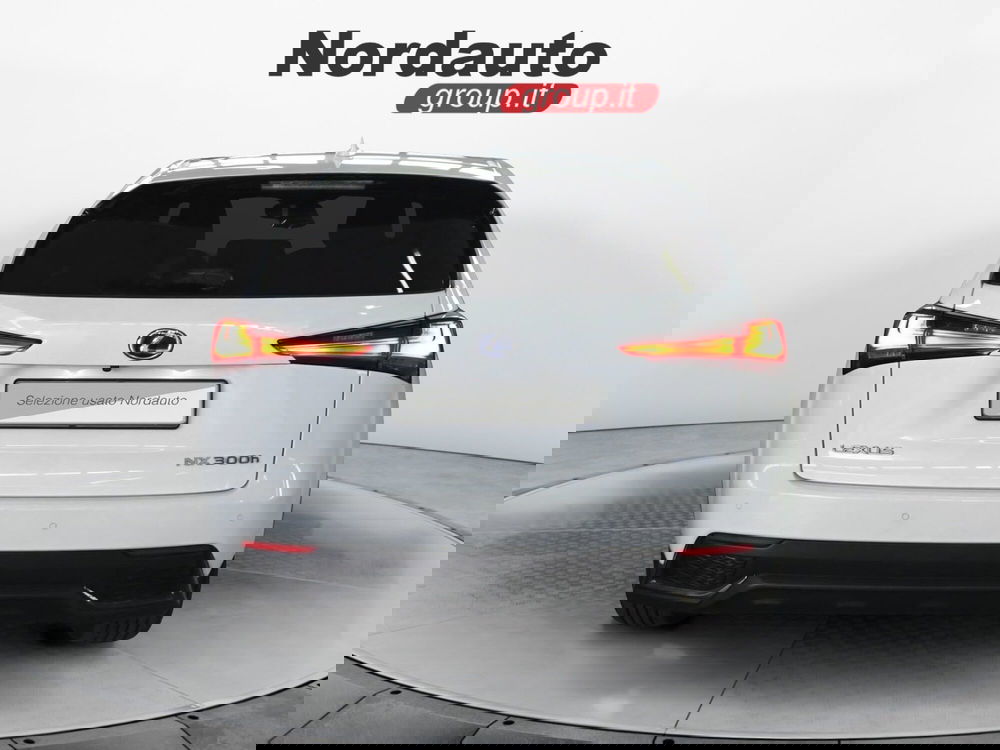 Lexus NX usata a Treviso (6)