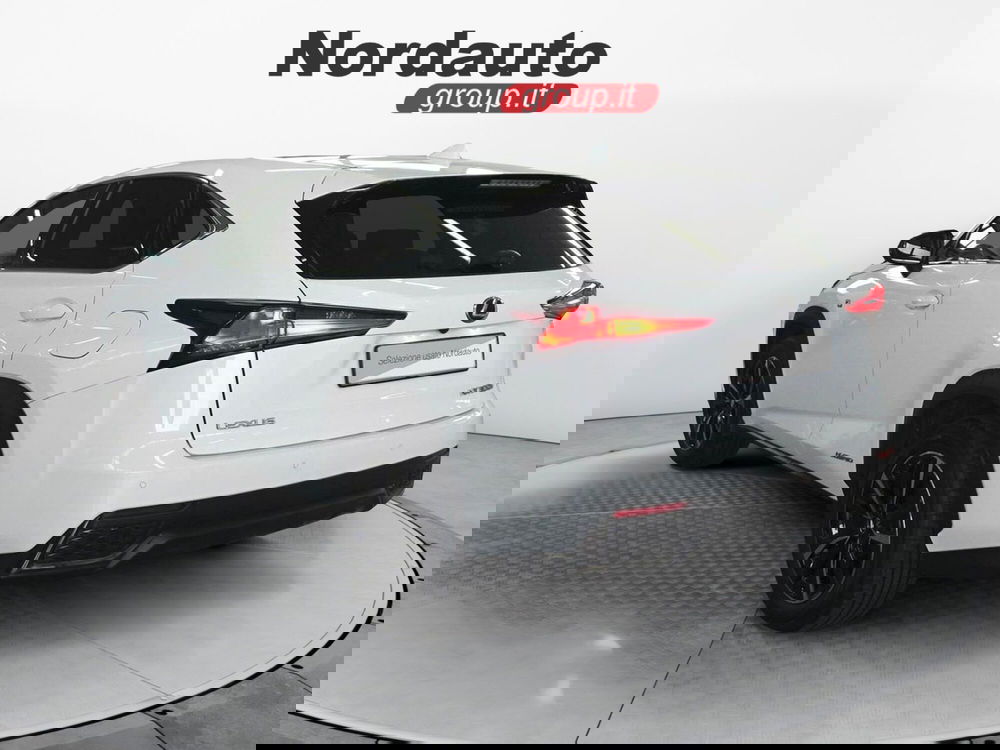 Lexus NX usata a Treviso (7)