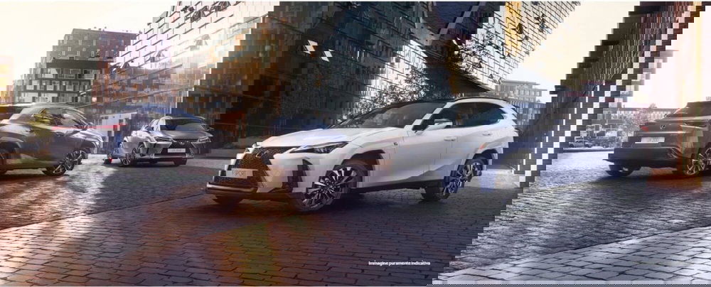 Lexus UX usata a Cremona (8)