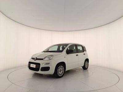 Fiat Panda 1.2 Easy del 2021 usata a Treviso