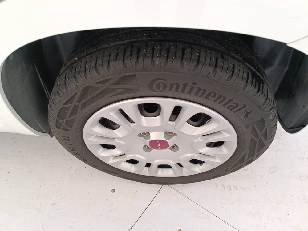 Fiat Panda usata a Treviso (19)