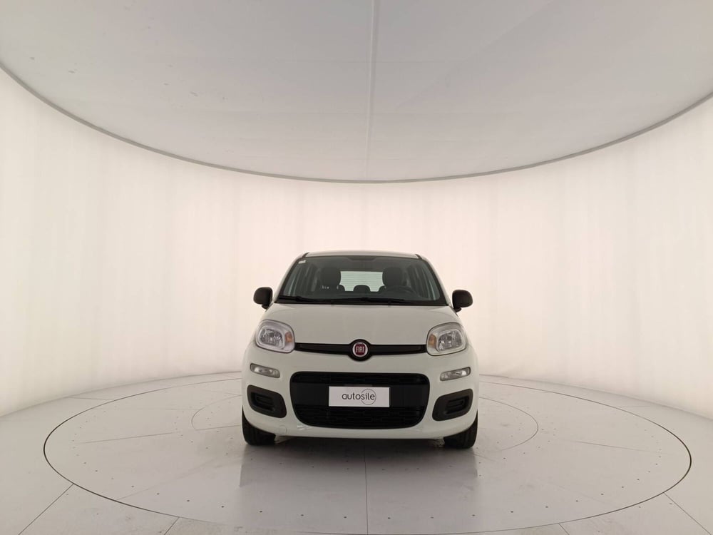 Fiat Panda usata a Treviso (2)