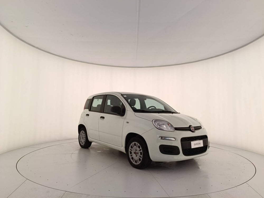 Fiat Panda usata a Treviso (3)