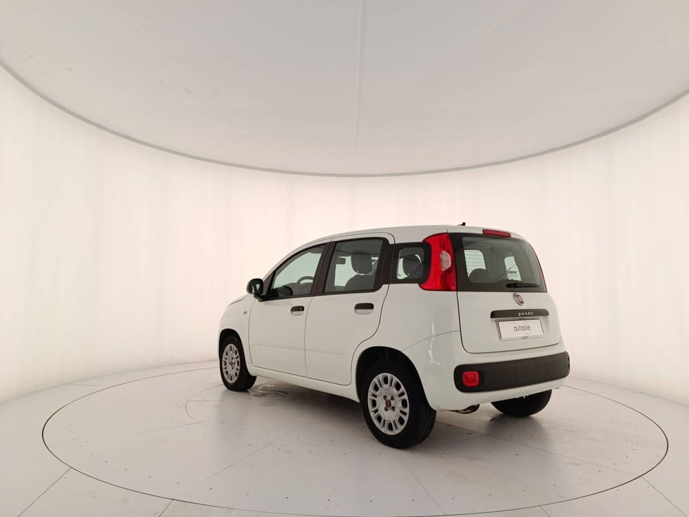 Fiat Panda usata a Treviso (4)