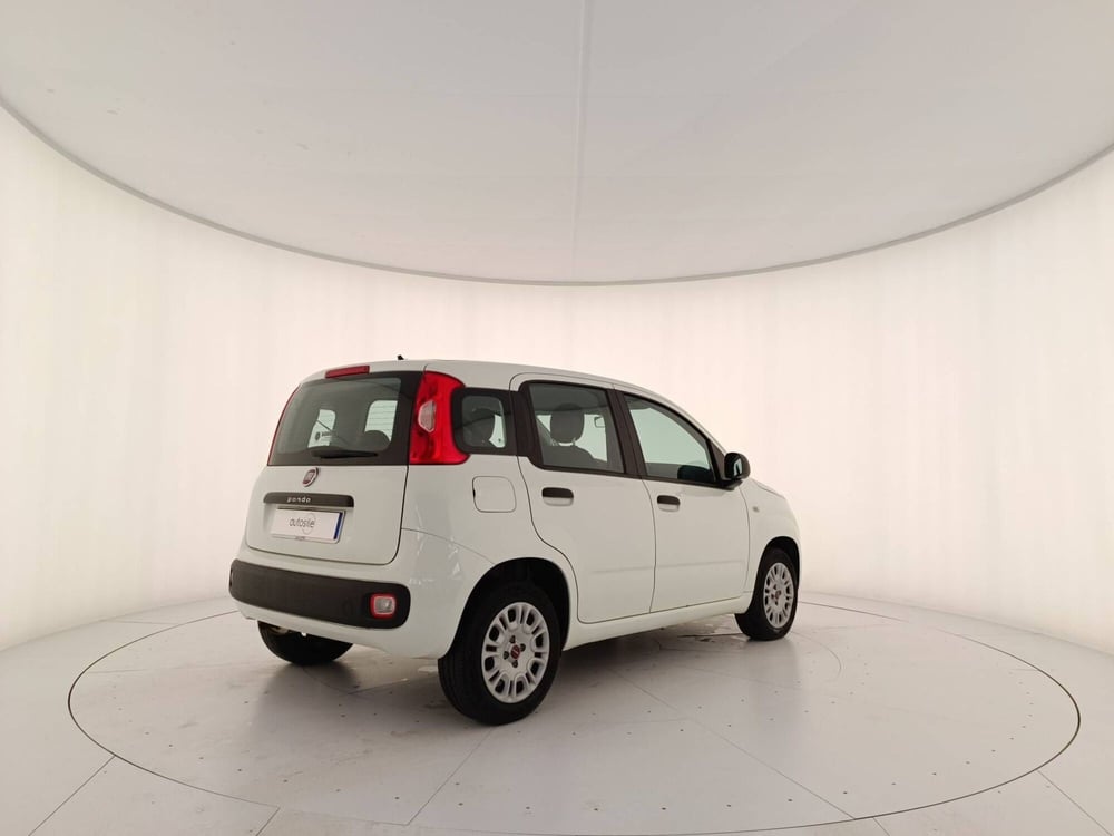 Fiat Panda usata a Treviso (6)