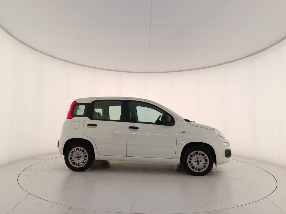Fiat Panda usata a Treviso (7)