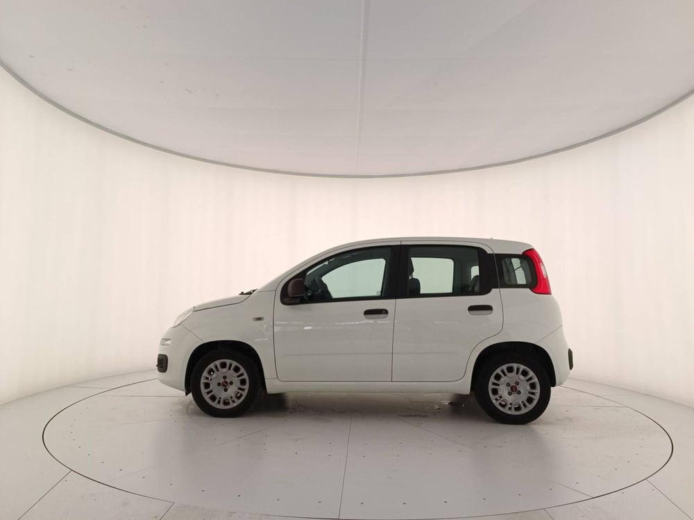 Fiat Panda usata a Treviso (8)