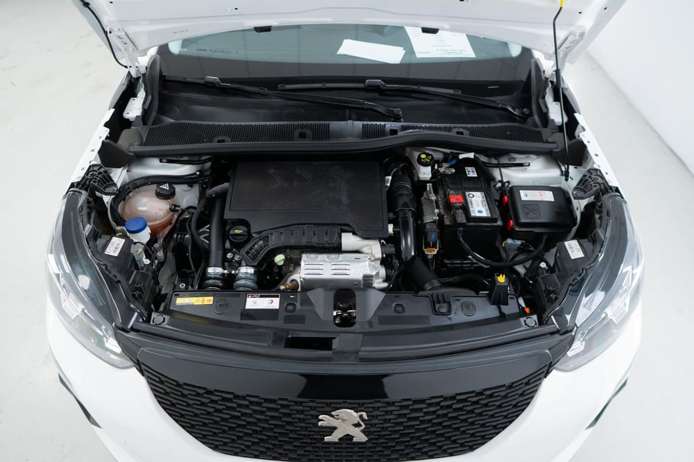 Peugeot 2008 usata a Torino (13)