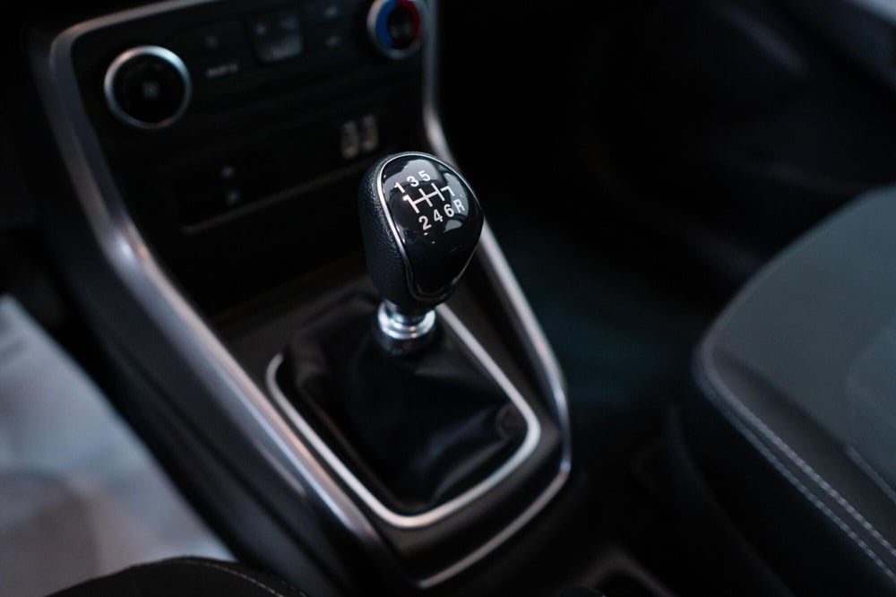Ford EcoSport usata a Torino (11)