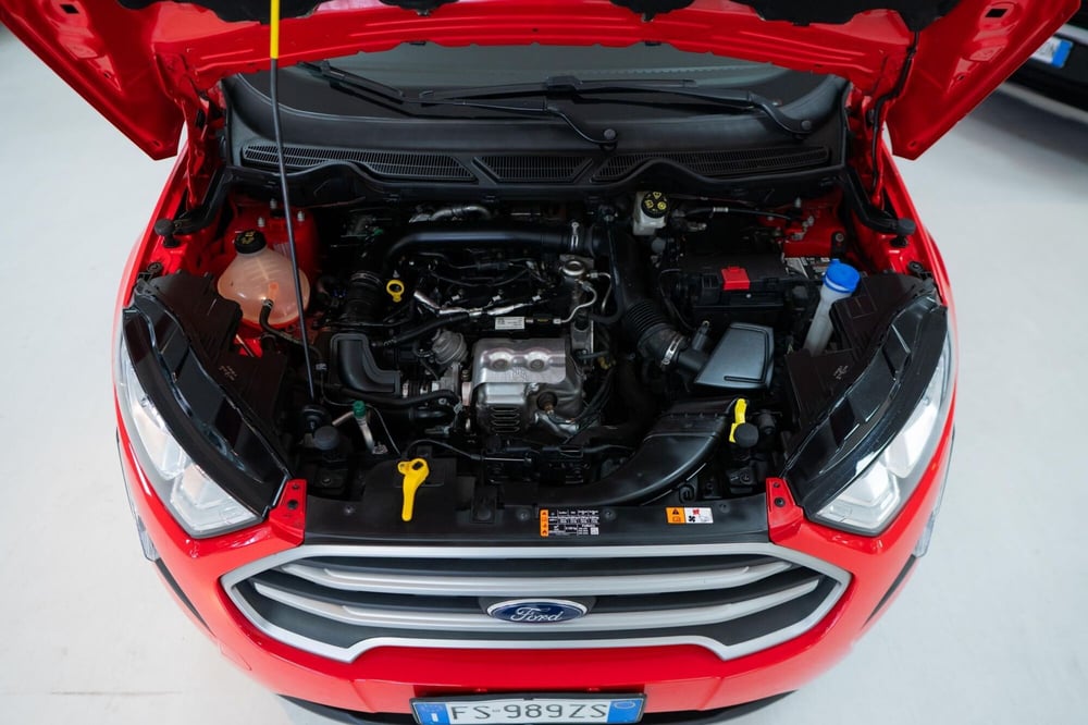 Ford EcoSport usata a Torino (13)