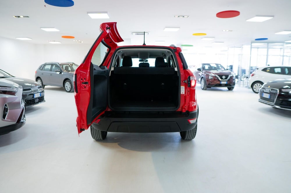 Ford EcoSport usata a Torino (14)