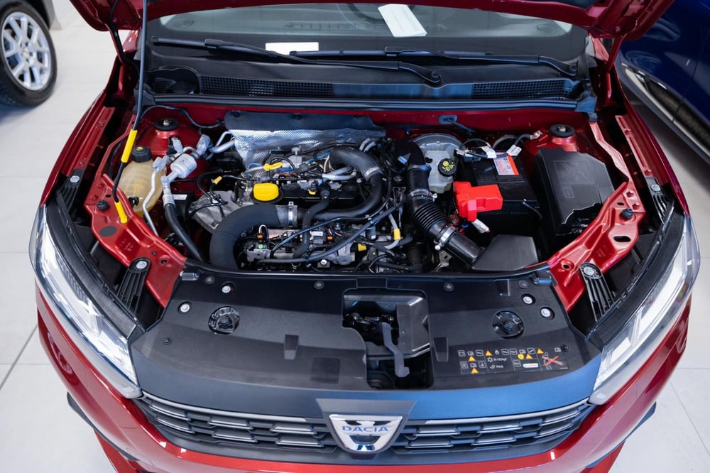Dacia Sandero usata a Torino (13)
