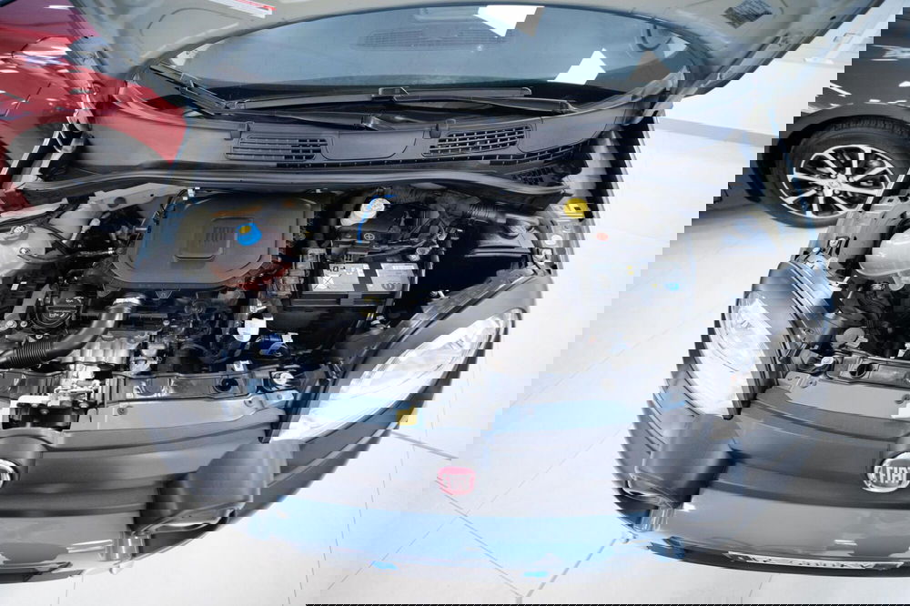 Fiat Panda Cross usata a Torino (11)