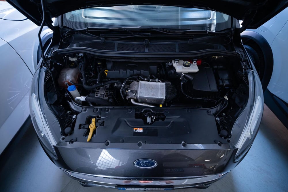 Ford S-Max usata a Torino (15)