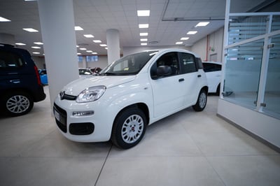Fiat Panda 1.2 Easy del 2018 usata a Torino