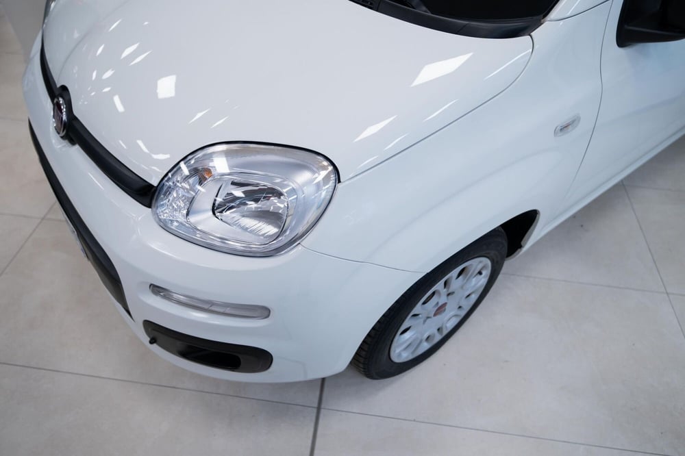 Fiat Panda usata a Torino (15)
