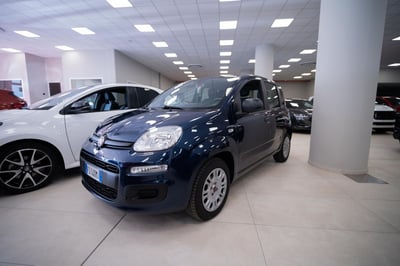 Fiat Panda 1.2 EasyPower Easy del 2018 usata a Torino