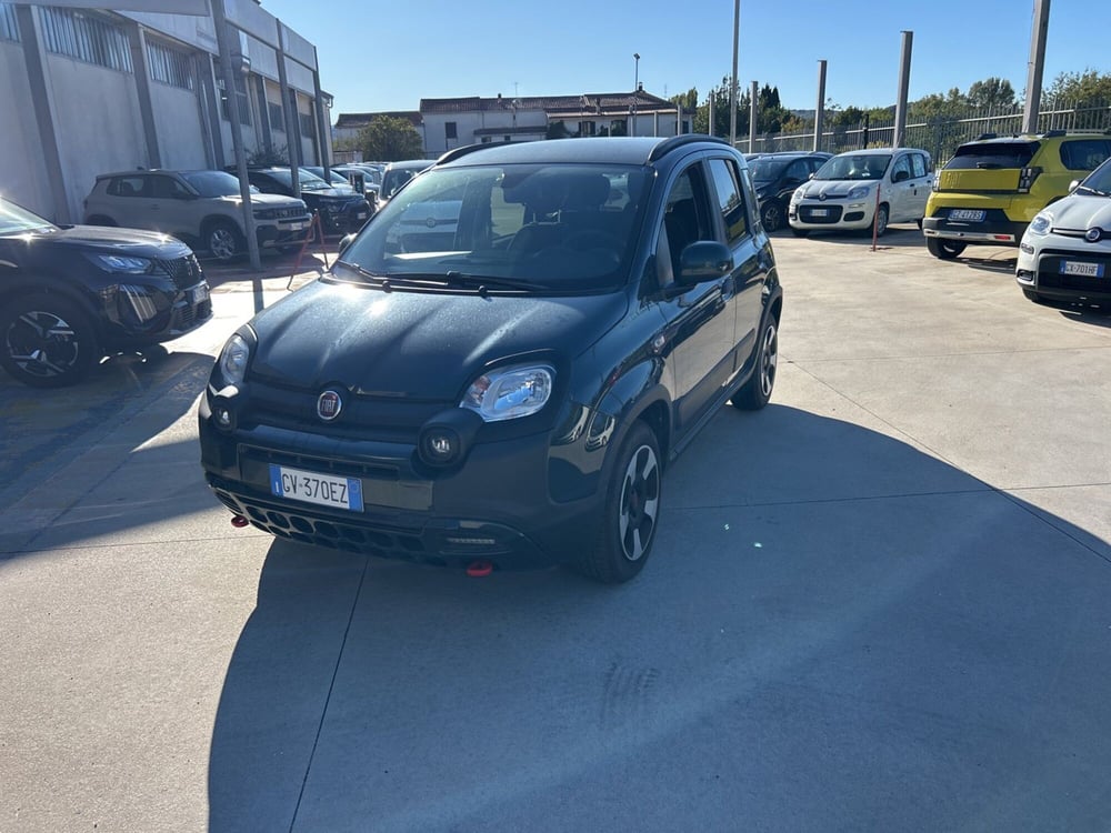 Fiat Panda Cross usata a Frosinone