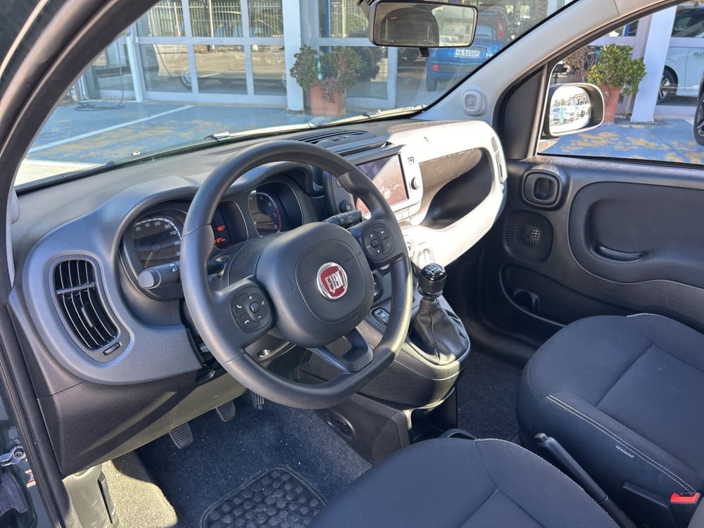 Fiat Panda Cross usata a Frosinone (18)