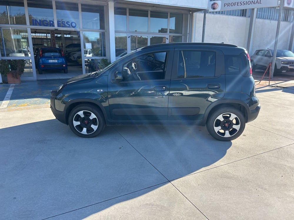 Fiat Panda Cross usata a Frosinone (2)