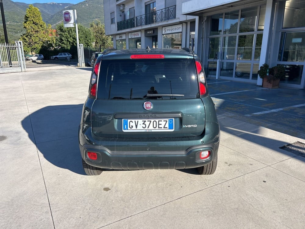 Fiat Panda Cross usata a Frosinone (4)