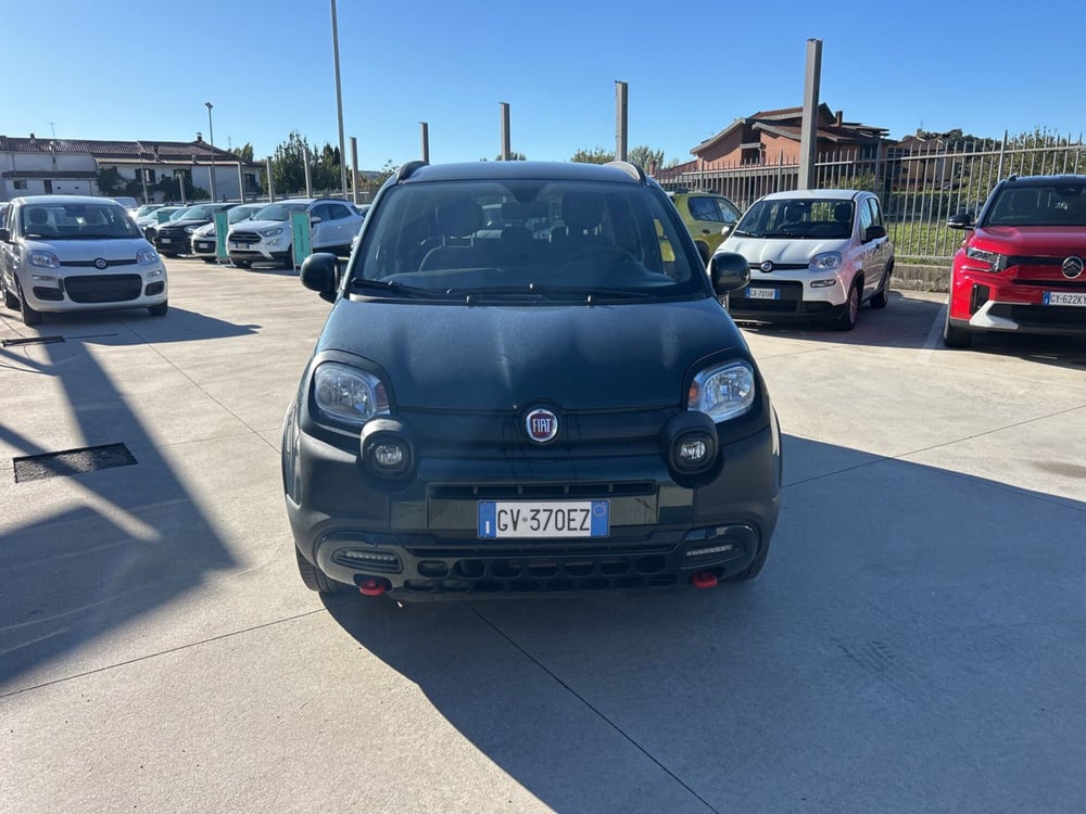 Fiat Panda Cross usata a Frosinone (5)