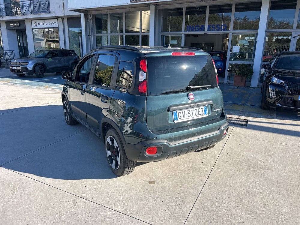 Fiat Panda Cross usata a Frosinone (6)