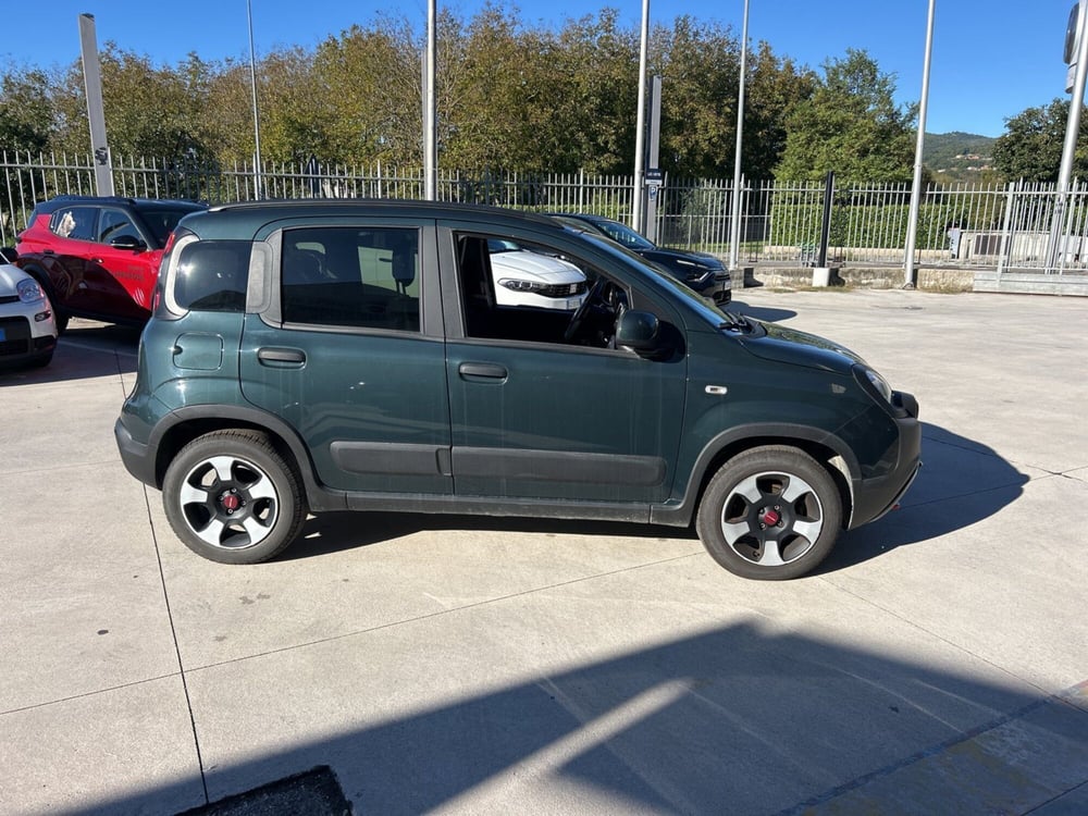 Fiat Panda Cross usata a Frosinone (7)