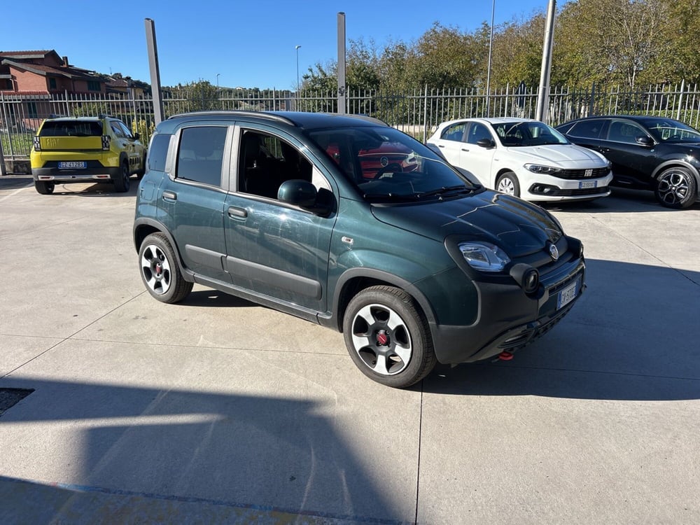 Fiat Panda Cross usata a Frosinone (8)