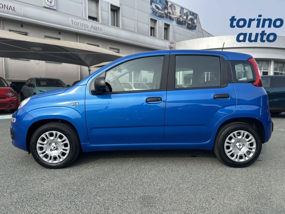Fiat Panda Cross nuova a Torino (4)
