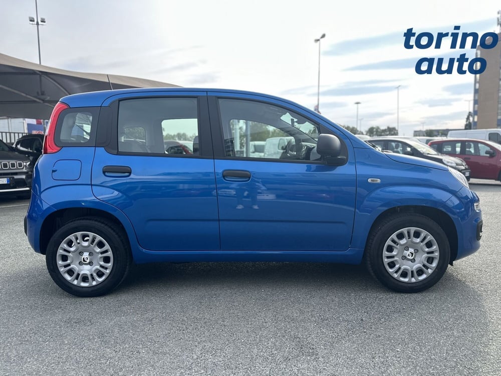 Fiat Panda Cross nuova a Torino (8)