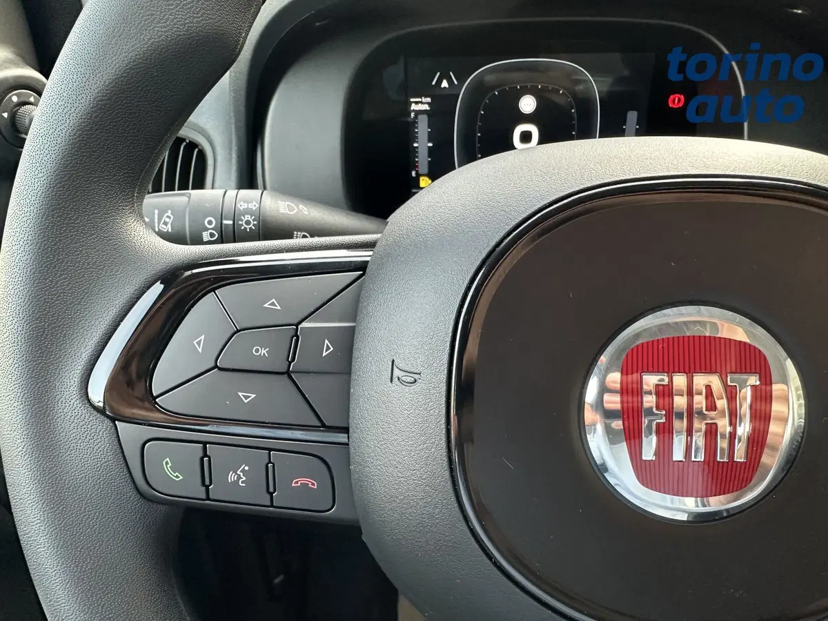 Fiat Panda Cross nuova a Torino (16)