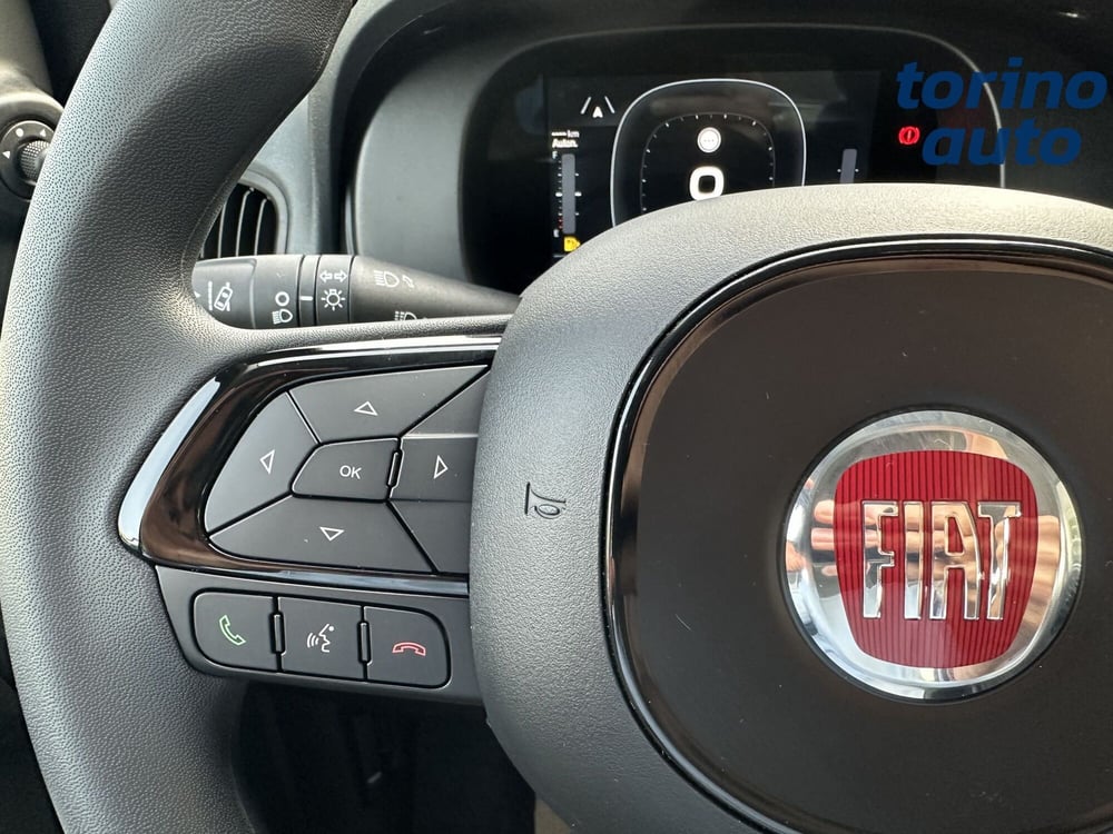 Fiat Panda Cross nuova a Torino (16)