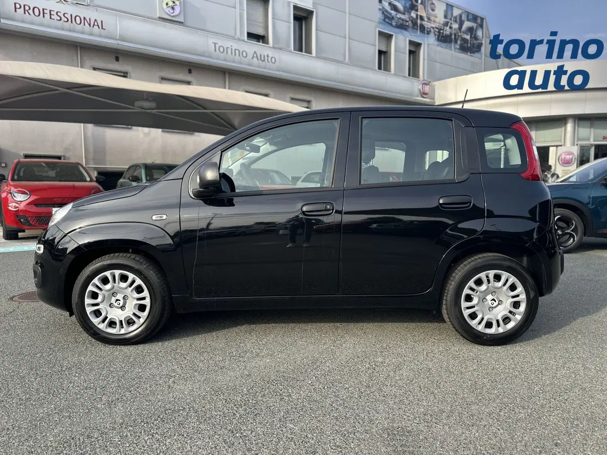 Fiat Panda Cross nuova a Torino (4)