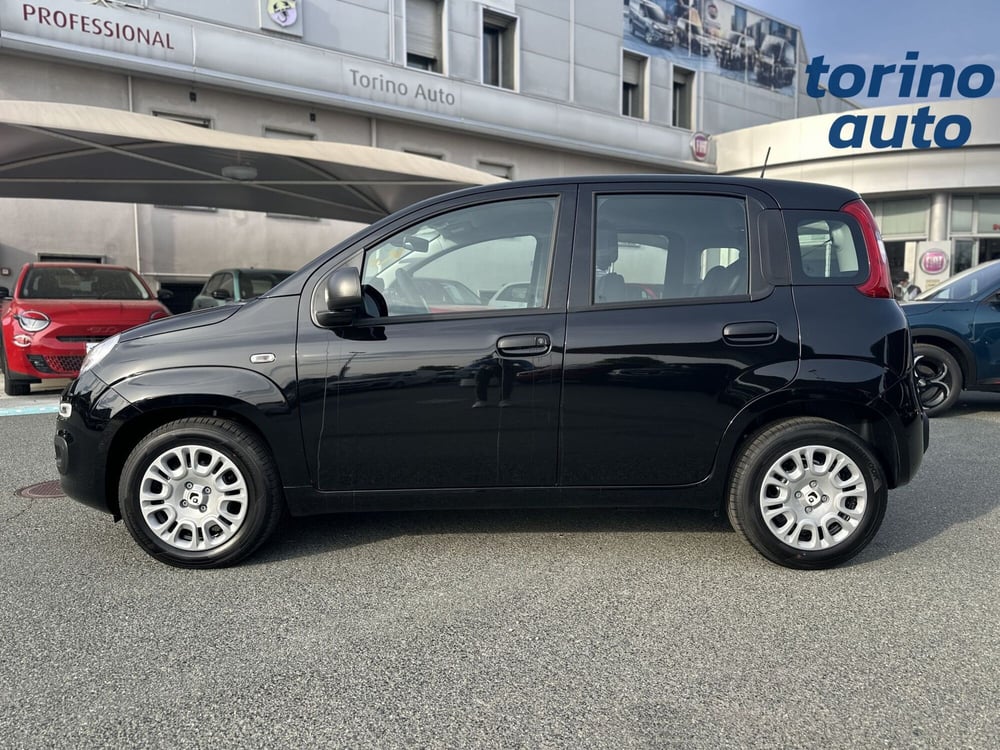 Fiat Panda Cross nuova a Torino (4)