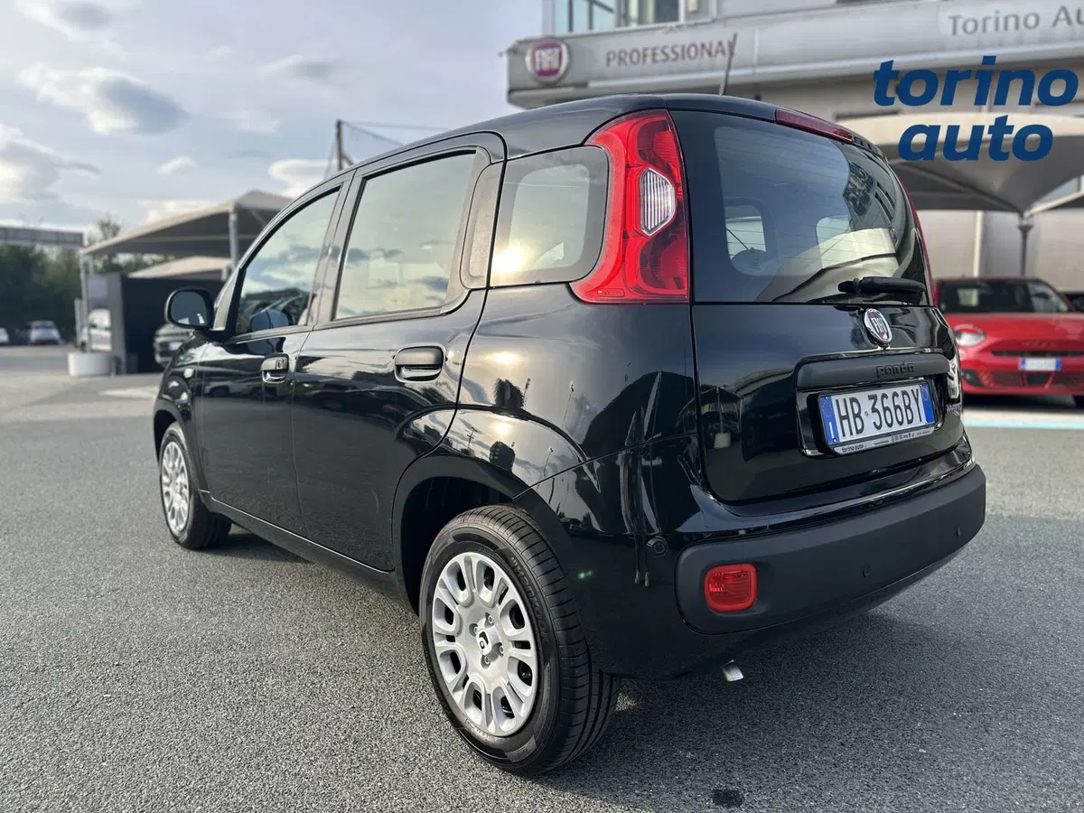 Fiat Panda Cross nuova a Torino (5)